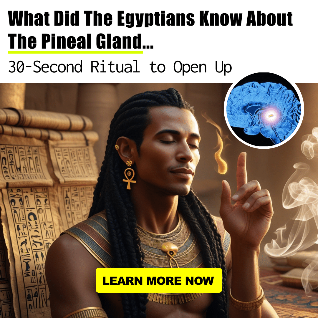 Awaken Now
